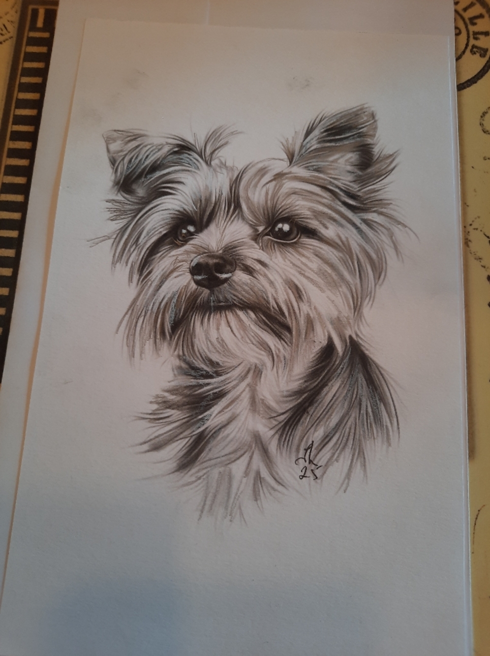 3 For 25$ - Hand Drawing Art - 5 X 7 With Enveloppe - Handmade Card